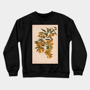 Carolina Jessamine-Available As Art Prints-Mugs,Cases,Duvets,T Shirts,Stickers,etc Crewneck Sweatshirt